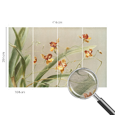 Papier peint photo avec un motif d'orchidées classiques