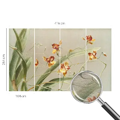 Papier peint photographique sur tissu non tissé Orchidées classiques