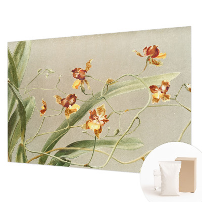 Papier peint photo avec un motif d'orchidées classiques