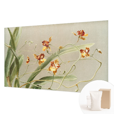 Papier peint photo avec un motif d'orchidées classiques