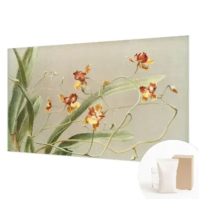 Papier peint photographique sur tissu non tissé Orchidées classiques