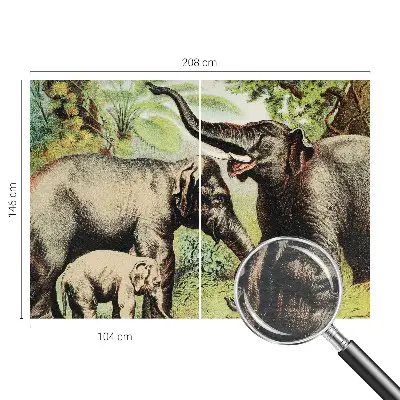 Papier peint photographique salon avec un motif de familles d'éléphants