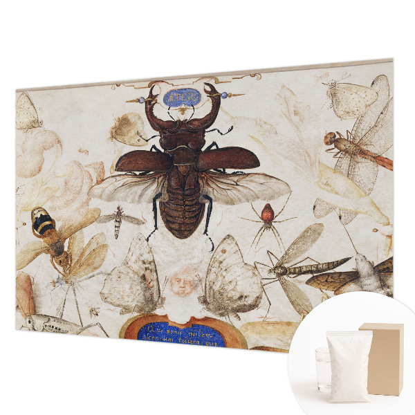 Papier peint panoramique intissé Prirodzená harmónia