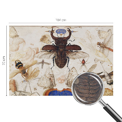 Papier peint panoramique intissé Prirodzená harmónia