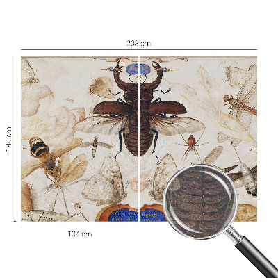 Papier peint panoramique intissé Prirodzená harmónia