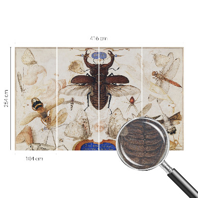 Papier peint panoramique intissé Prirodzená harmónia