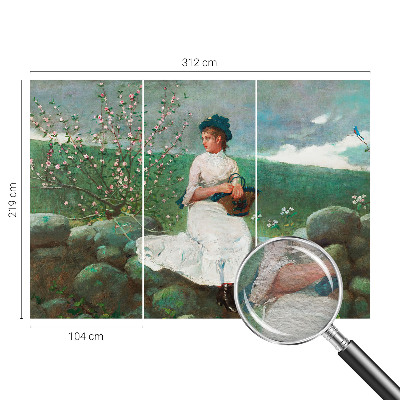 Papier peint panoramique salon Kvetinový pokoj