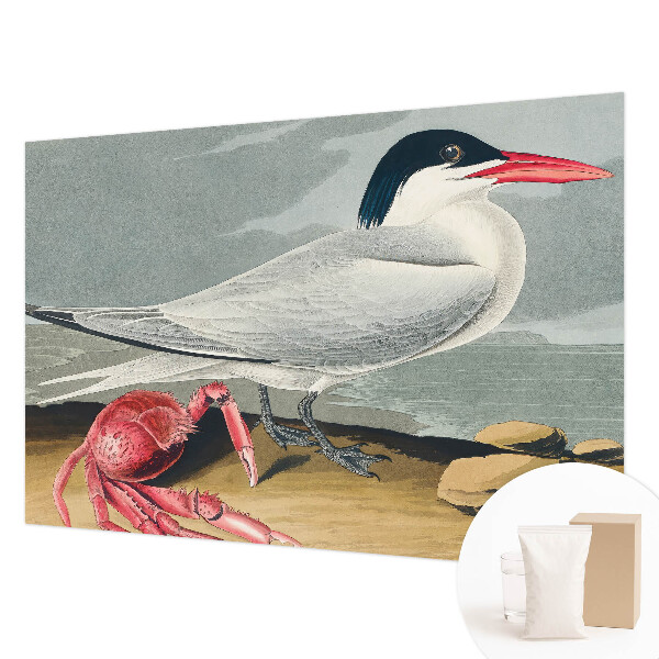 Papier peint panoramique moderne Morská scenéria