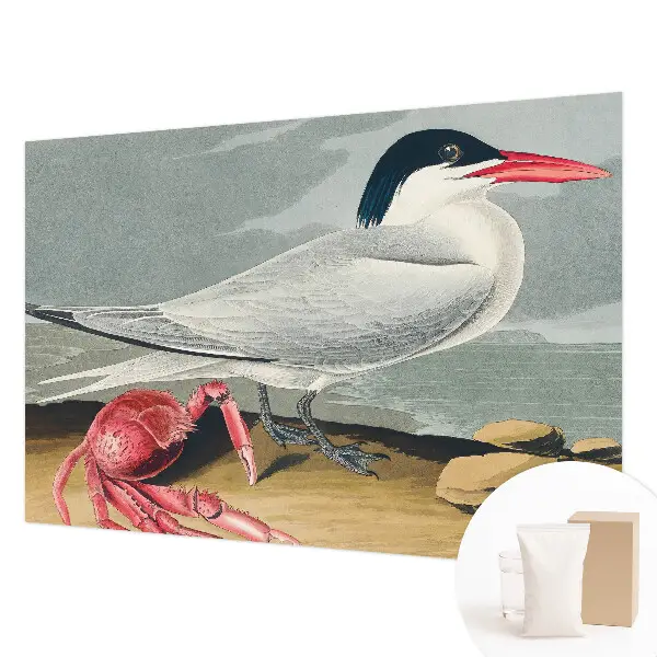 Papier peint photographique sur tissu non tissé Paysages marins