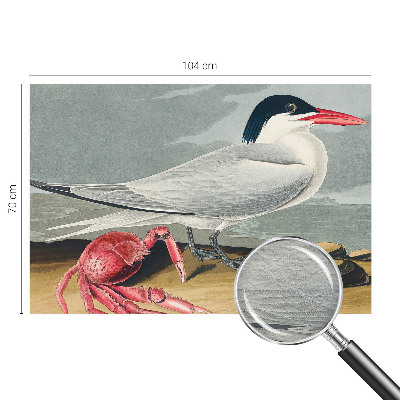 Papier peint panoramique moderne Morská scenéria