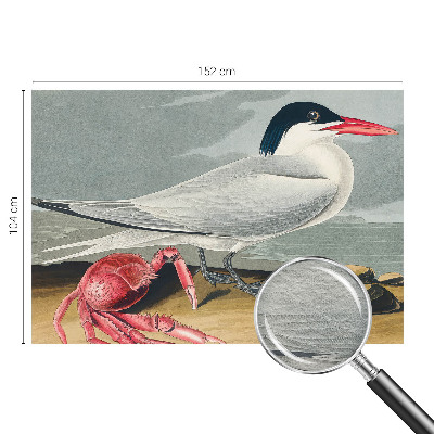 Papier peint panoramique moderne Morská scenéria