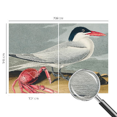 Papier peint panoramique moderne Morská scenéria