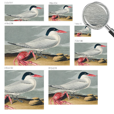 Papier peint panoramique moderne Morská scenéria