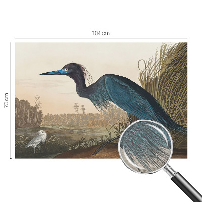 Papier peint panoramique de haute qualité avec un motif d'oiseaux aquatiques
