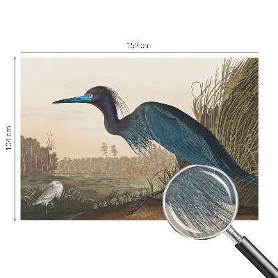 Papier peint panoramique de haute qualité Vodné vtáky