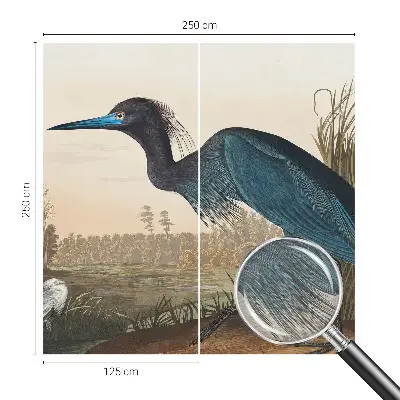 Papier peint intissé oiseaux aquatiques