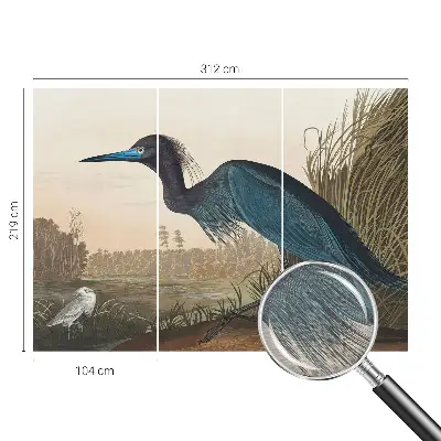 Papier peint intissé oiseaux aquatiques