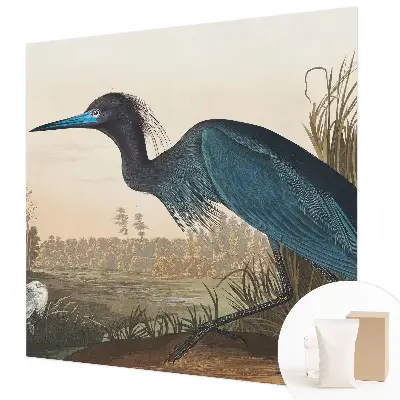 Papier peint intissé oiseaux aquatiques