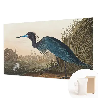 Papier peint intissé oiseaux aquatiques