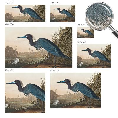 Papier peint panoramique de haute qualité Vodné vtáky