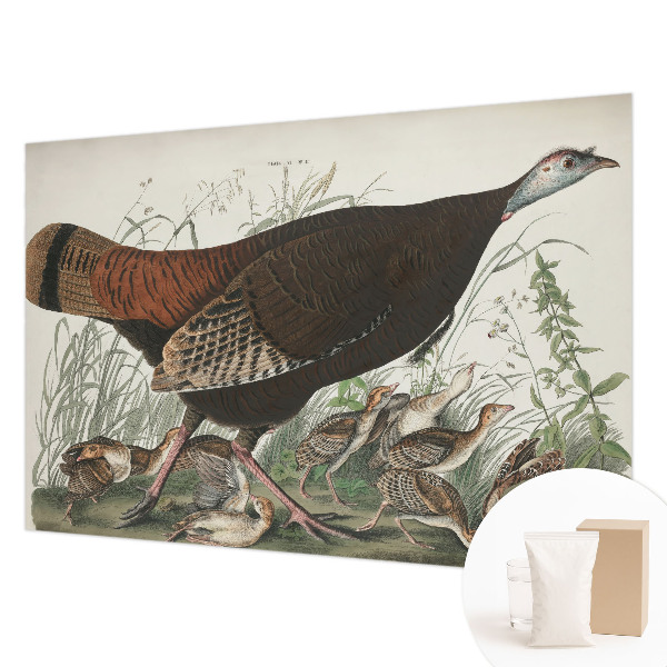 Papier peint panoramique enfant Prirodzená harmónia