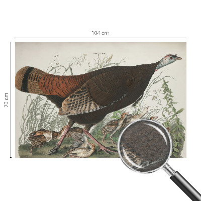 Papier peint panoramique enfant Prirodzená harmónia