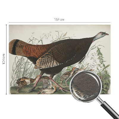 Papier peint panoramique enfant Prirodzená harmónia