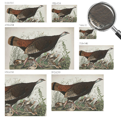 Papier peint panoramique enfant Prirodzená harmónia