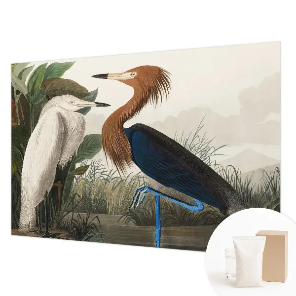 Papier peint panoramique haut de gamme avec des oiseaux parmi la végétation