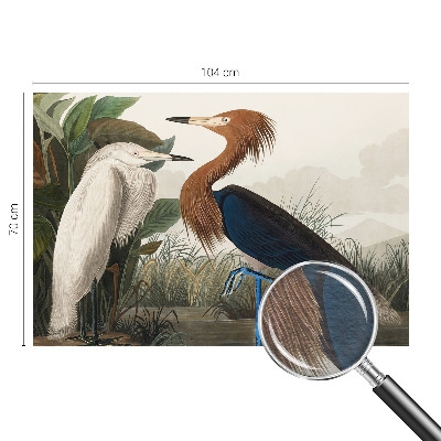 Papier peint panoramique haut de gamme Vtáky v rastlinách