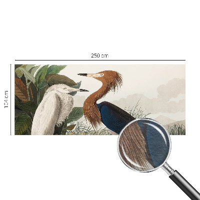 Papier peint panoramique haut de gamme Vtáky v rastlinách