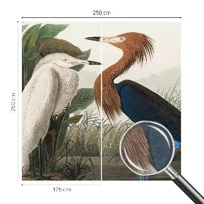 Papier peint panoramique haut de gamme avec des oiseaux parmi la végétation