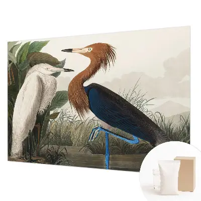 Papier peint panoramique haut de gamme avec des oiseaux parmi la végétation