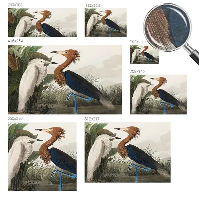 Papier peint panoramique haut de gamme avec des oiseaux parmi la végétation