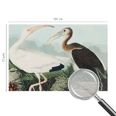 Papier peint panoramique tendance avec un motif d'oiseaux