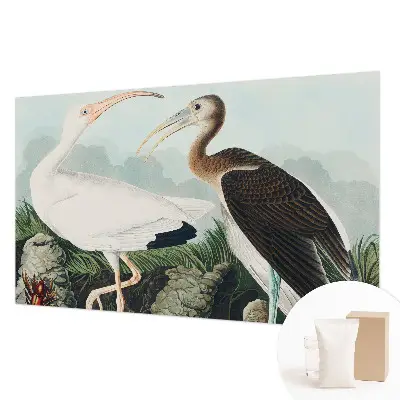 Papier peint panoramique tendance avec un motif d'oiseaux