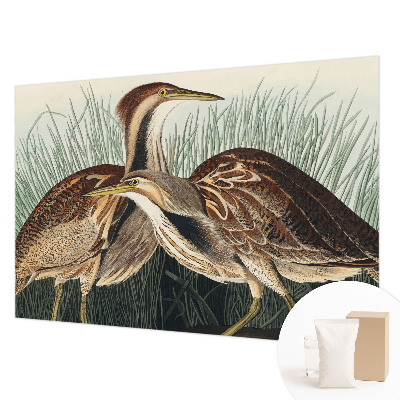 Papier peint panoramique de haute qualité avec un motif réaliste d'oiseaux