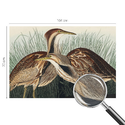 Papier peint panoramique de haute qualité Realistické vtáky