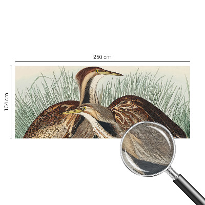 Papier peint panoramique de haute qualité Realistické vtáky