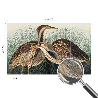 Papier peint panoramique de haute qualité avec un motif réaliste d'oiseaux