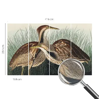 Papier peint photo grand format pour le mur Oiseaux réalistes