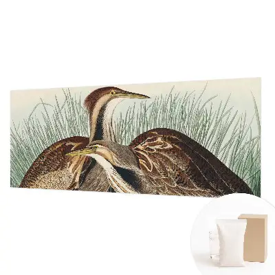 Papier peint photo grand format pour le mur Oiseaux réalistes