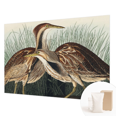 Papier peint panoramique de haute qualité avec un motif réaliste d'oiseaux
