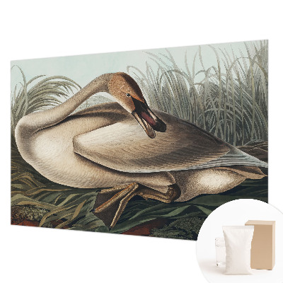 Papier peint panoramique facile à poser avec un motif d'oiseau naturel