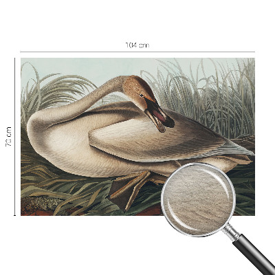 Papier peint panoramique facile à poser avec un motif d'oiseau naturel