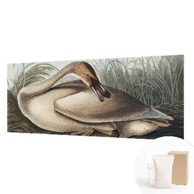 Papier peint photo sur tissu non tissé Oiseau naturel