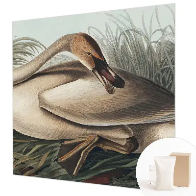 Papier peint photo sur tissu non tissé Oiseau naturel