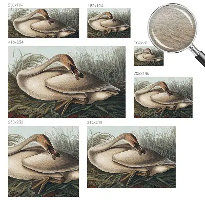 Papier peint photo sur tissu non tissé Oiseau naturel