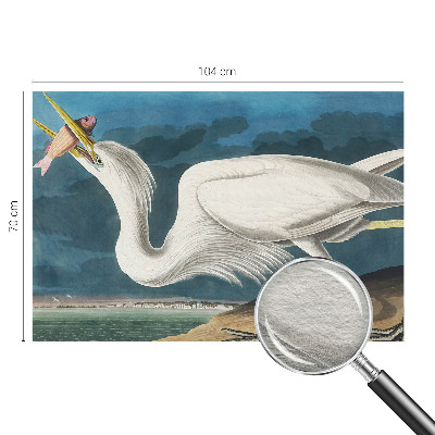 Papier peint panoramique facile à poser Vták s rybou