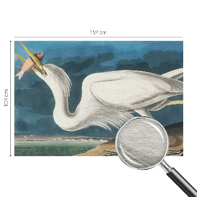 Papier peint panoramique facile à poser Vták s rybou